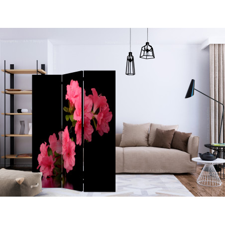 Paravan Azalea In Black [Room Dividers] 135 cm x 172 cm-01