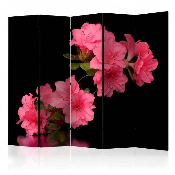 Paravan Azalea In Black Ii [Room Dividers] 225 cm x 172 cm