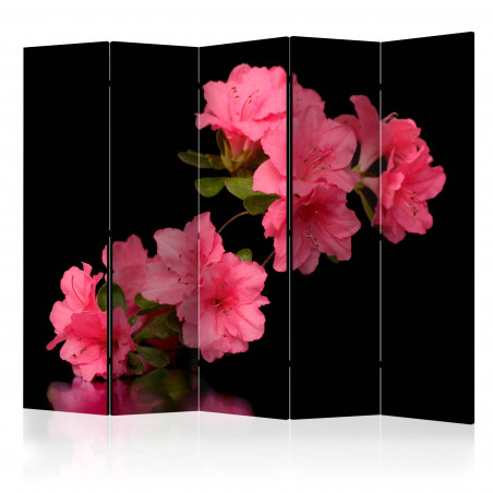 Paravan Azalea In Black Ii [Room Dividers] 225 cm x 172 cm-01