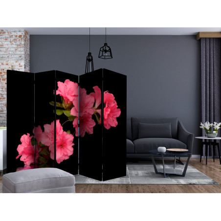 Paravan Azalea In Black Ii [Room Dividers] 225 cm x 172 cm-01