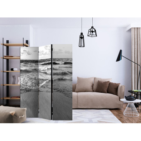 Paravan Subtle Afternoon [Room Dividers] 135 cm x 172 cm-01