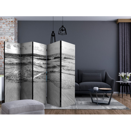 Paravan Subtle Afternoon Ii [Room Dividers] 225 cm x 172 cm-01