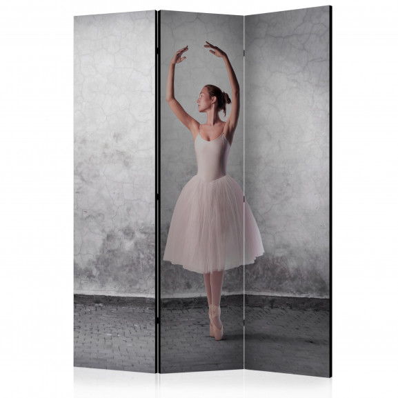 Paravan Ballerina In Degas Paintings Style [Room Dividers] 135 cm x 172 cm