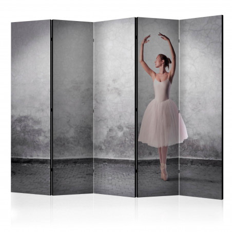 Paravan Ballerina In Degas Paintings Style Ii [Room Dividers] 225 cm x 172 cm-01