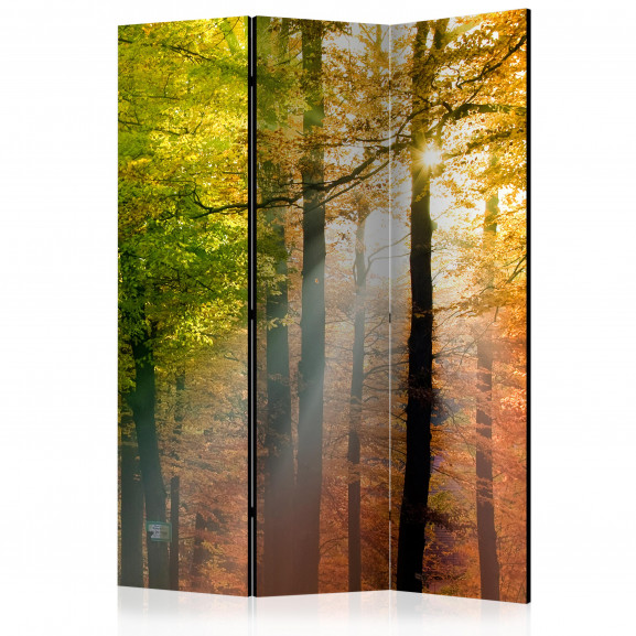 Paravan Forest Colours [Room Dividers] 135 cm x 172 cm