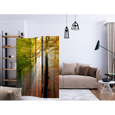 Paravan Forest Colours [Room Dividers] 135 cm x 172 cm-01