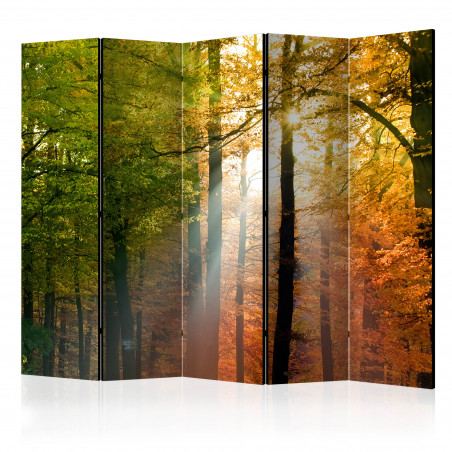 Paravan Forest Colours Ii [Room Dividers] 225 cm x 172 cm-01