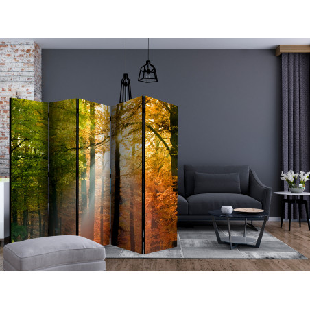 Paravan Forest Colours Ii [Room Dividers] 225 cm x 172 cm-01