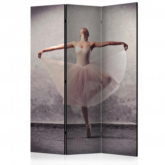 Paravan Classical Dance Poetry Without Words [Room Dividers] 135 cm x 172 cm