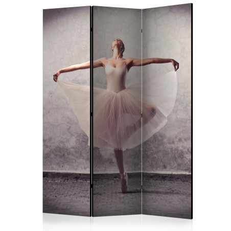 Paravan Classical Dance Poetry Without Words [Room Dividers] 135 cm x 172 cm-01