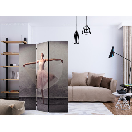 Paravan Classical Dance Poetry Without Words [Room Dividers] 135 cm x 172 cm-01