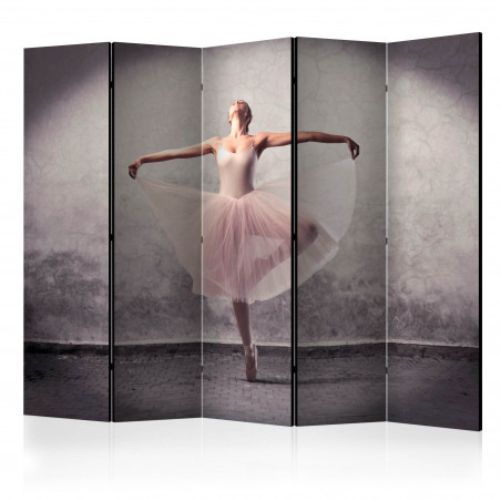 Paravan Classical Dance Poetry Without Words Ii [Room Dividers] 225 cm x 172 cm-01