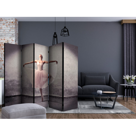 Paravan Classical Dance Poetry Without Words Ii [Room Dividers] 225 cm x 172 cm-01