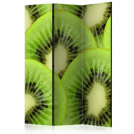 Paravan Kiwi Slices [Room Dividers] 135 cm x 172 cm-01