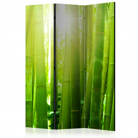 Paravan Sun And Bamboo [Room Dividers] 135 cm x 172 cm-01