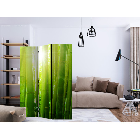 Paravan Sun And Bamboo [Room Dividers] 135 cm x 172 cm-01