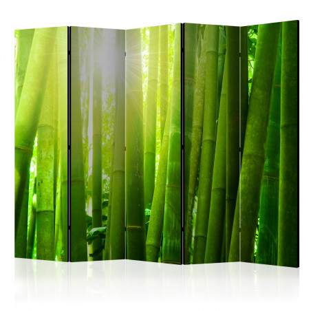 Paravan Sun And Bamboo Ii [Room Dividers] 225 cm x 172 cm-01