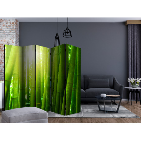 Paravan Sun And Bamboo Ii [Room Dividers] 225 cm x 172 cm-01