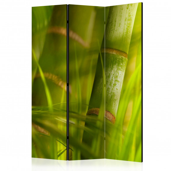 Paravan Bamboo Nature Zen [Room Dividers] 135 cm x 172 cm