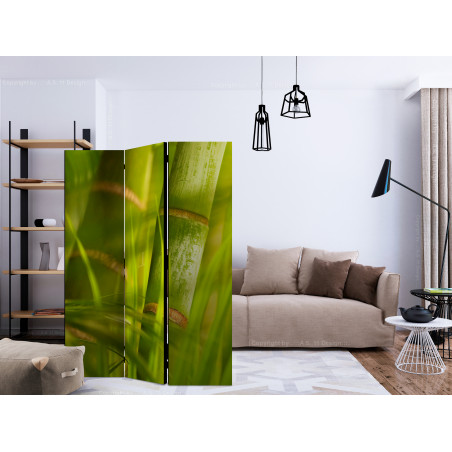 Paravan Bamboo Nature Zen [Room Dividers] 135 cm x 172 cm-01