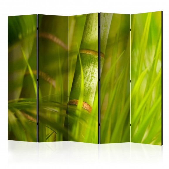 Paravan Bamboo Nature Zen Ii [Room Dividers] 225 cm x 172 cm