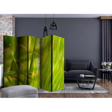 Paravan Bamboo Nature Zen Ii [Room Dividers] 225 cm x 172 cm-01