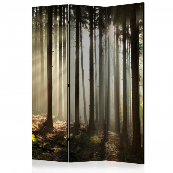 Paravan Coniferous Forest [Room Dividers] 135 cm x 172 cm