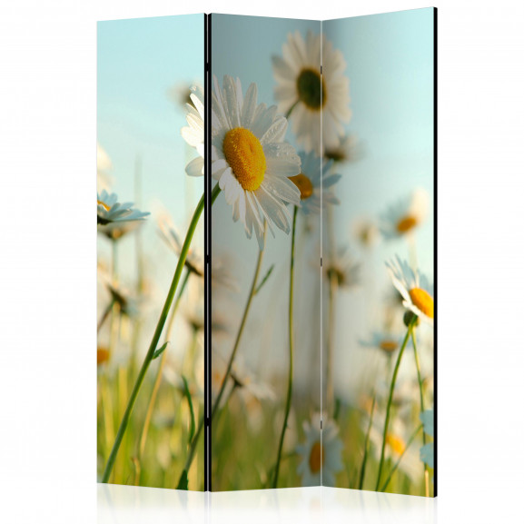 Paravan Daisies Spring Meadow [Room Dividers] 135 cm x 172 cm