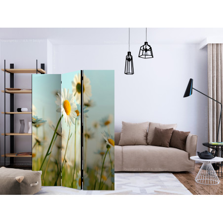 Paravan Daisies Spring Meadow [Room Dividers] 135 cm x 172 cm-01