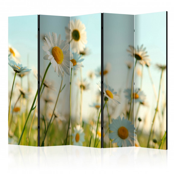 Paravan Daisies Spring Meadow Ii [Room Dividers] 225 cm x 172 cm