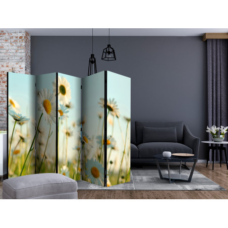 Paravan Daisies Spring Meadow Ii [Room Dividers] 225 cm x 172 cm-01