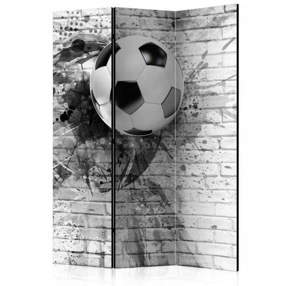 Paravan Dynamic Football [Room Dividers] 135 cm x 172 cm