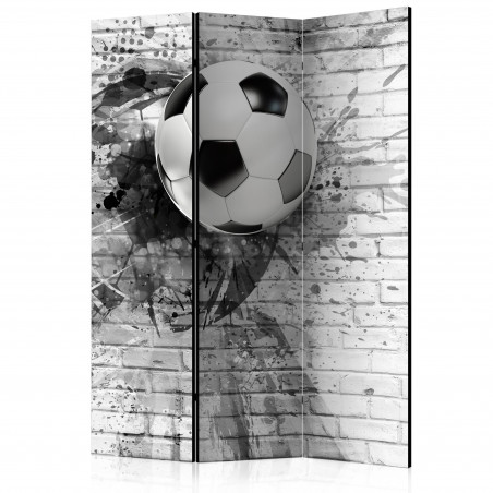 Paravan Dynamic Football [Room Dividers] 135 cm x 172 cm-01