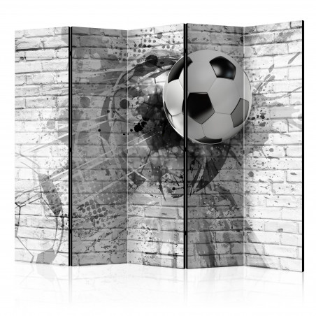 Paravan Dynamic Football Ii [Room Dividers] 225 cm x 172 cm-01