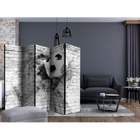 Paravan Dynamic Football Ii [Room Dividers] 225 cm x 172 cm-01