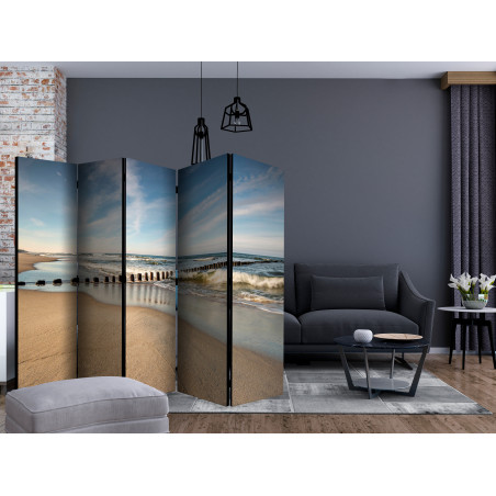 Paravan Sea Breeze Ii [Room Dividers] 225 cm x 172 cm-01