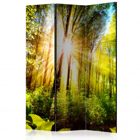Paravan Forest Hideout [Room Dividers] 135 cm x 172 cm-01