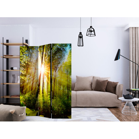 Paravan Forest Hideout [Room Dividers] 135 cm x 172 cm-01