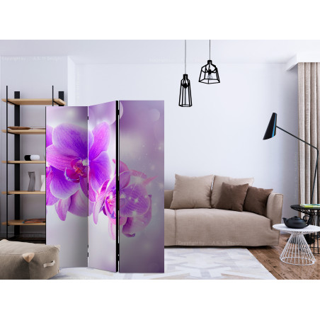 Paravan Purple Orchids [Room Dividers] 135 cm x 172 cm-01