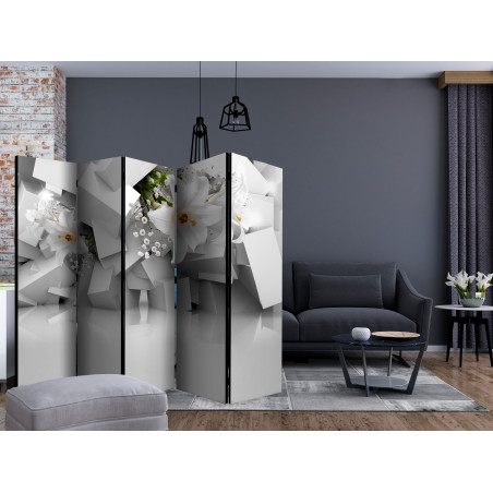 Paravan Lost In Chaos Ii [Room Dividers] 225 cm x 172 cm-01