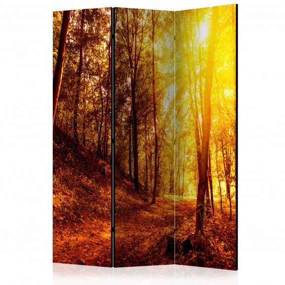 Paravan Autumn Walk [Room Dividers] 135 cm x 172 cm