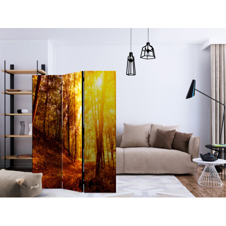 Paravan Autumn Walk [Room Dividers] 135 cm x 172 cm-01