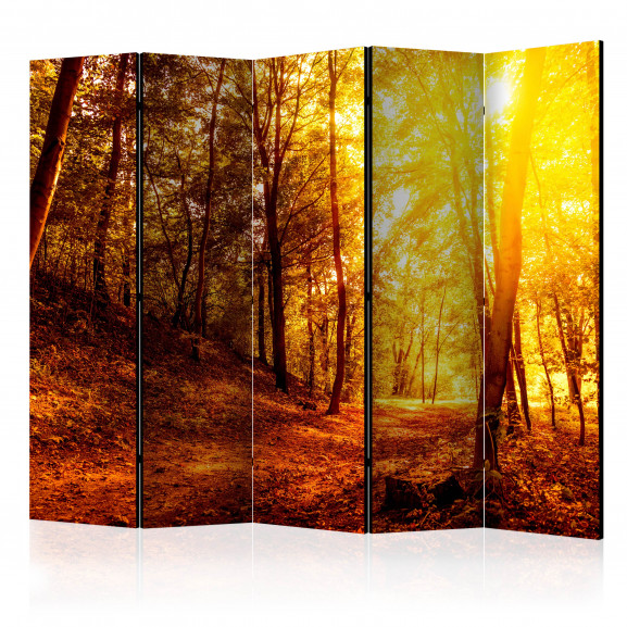 Paravan Autumn Walk Ii [Room Dividers] 225 cm x 172 cm