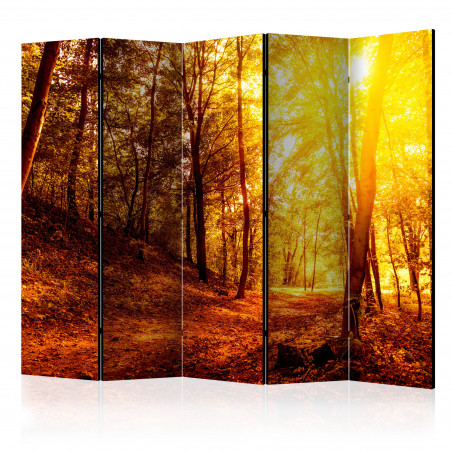 Paravan Autumn Walk Ii [Room Dividers] 225 cm x 172 cm-01