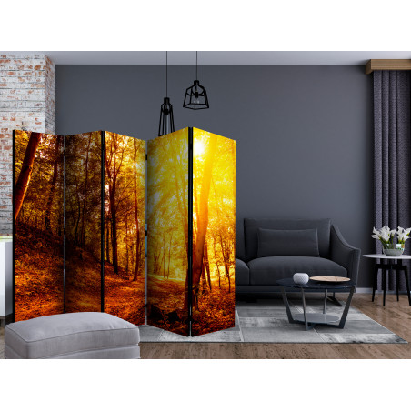 Paravan Autumn Walk Ii [Room Dividers] 225 cm x 172 cm-01