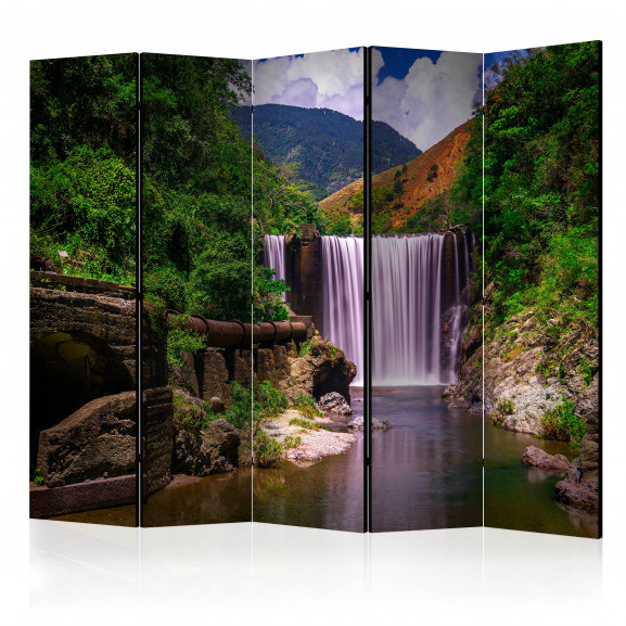 Paravan Reggae Falls Ii [Room Dividers] 225 cm x 172 cm