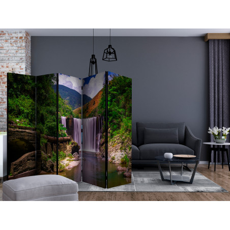 Paravan Reggae Falls Ii [Room Dividers] 225 cm x 172 cm-01