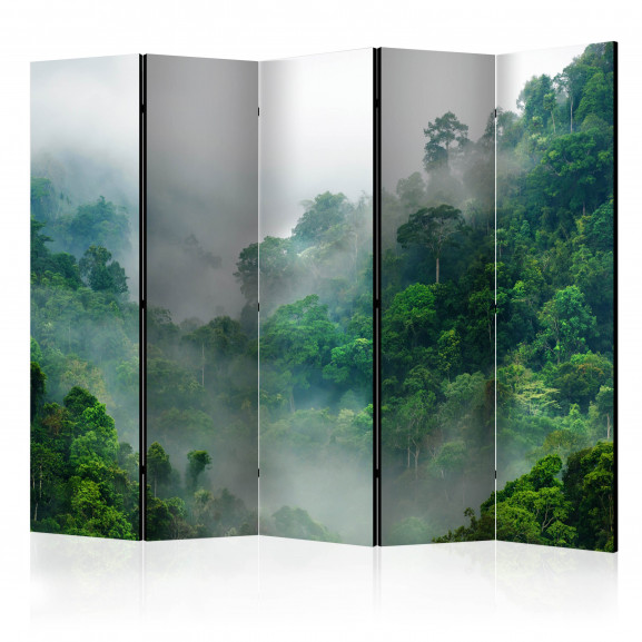 Paravan Morning Fog Ii [Room Dividers] 225 cm x 172 cm