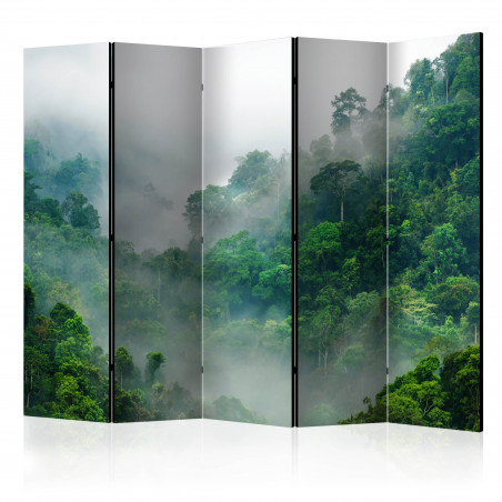 Paravan Morning Fog Ii [Room Dividers] 225 cm x 172 cm-01