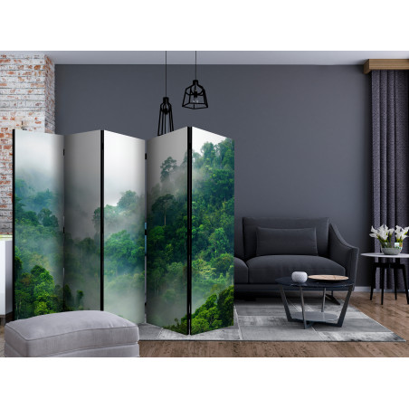 Paravan Morning Fog Ii [Room Dividers] 225 cm x 172 cm-01